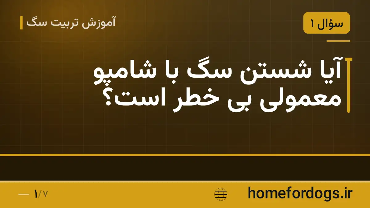 آیا شستن سگ با شامپو معمولی بی خطر است؟