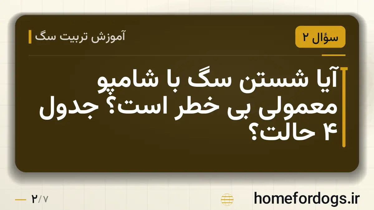 آیا شستن سگ با شامپو معمولی بی خطر است؟ جدول ۴ حالت؟