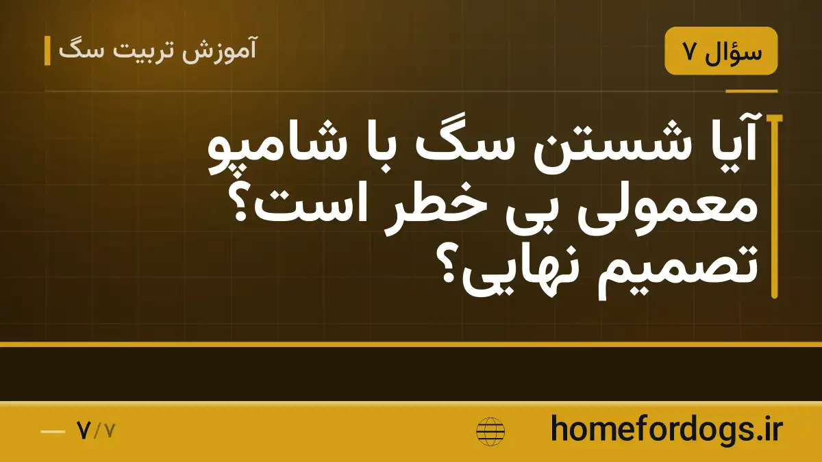 آیا شستن سگ با شامپو معمولی بی خطر است؟ تصمیم نهایی؟