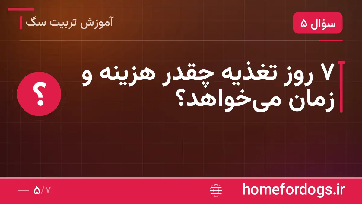 ۷ روز تغذیه چقدر هزینه و زمان می‌خواهد؟