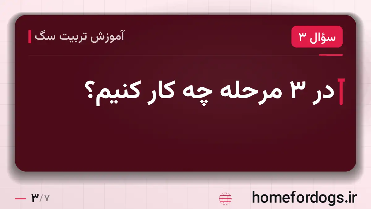 در ۳ مرحله چه کار کنیم؟