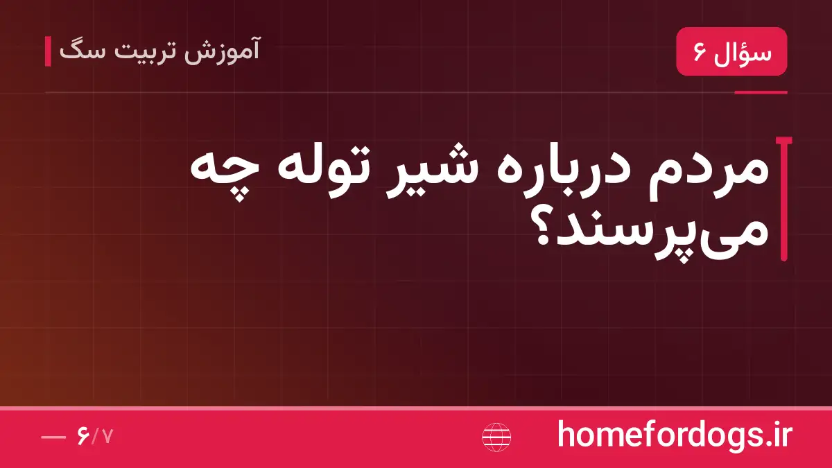 مردم درباره شیر توله چه می‌پرسند؟