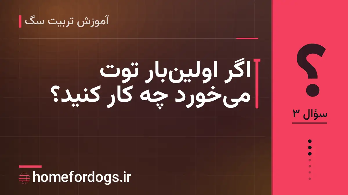 اگر اولین‌بار توت می‌خورد چه کار کنید؟
