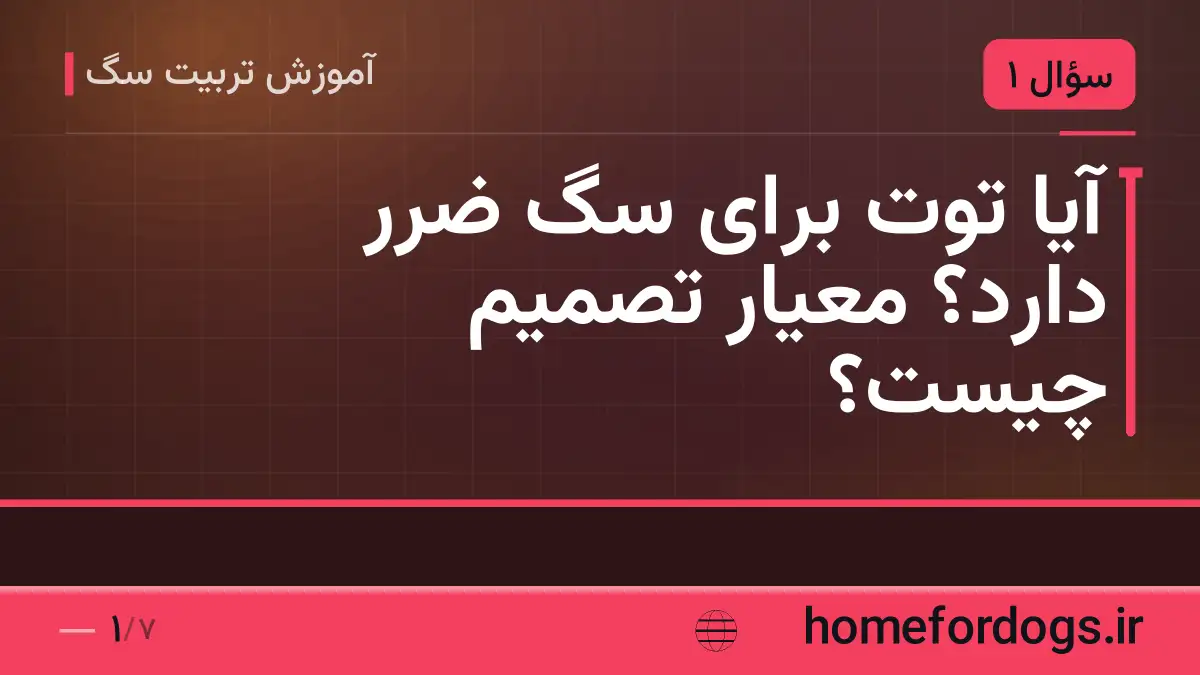 آیا توت برای سگ ضرر دارد؟ معیار تصمیم چیست؟