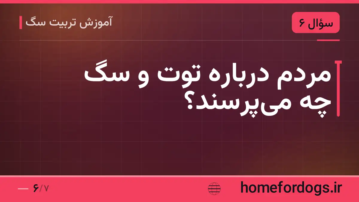 مردم دربارهٔ توت و سگ چه می‌پرسند؟