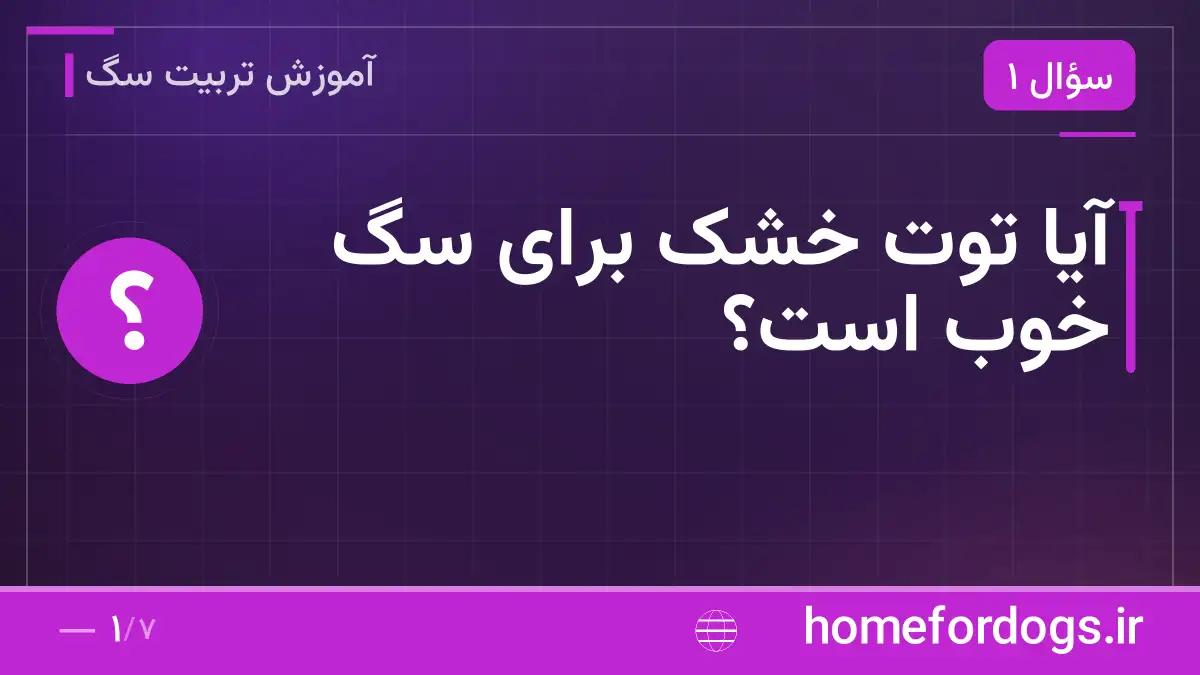 آیا توت خشک برای سگ خوب است؟
