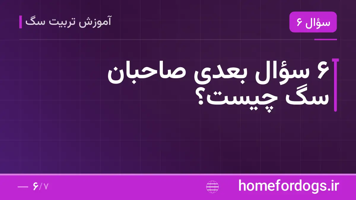 ۶ سؤال بعدی صاحبان سگ چیست؟