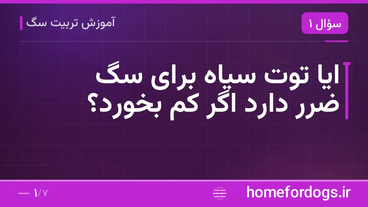 ایا توت سیاه برای سگ ضرر دارد اگر کم بخورد؟