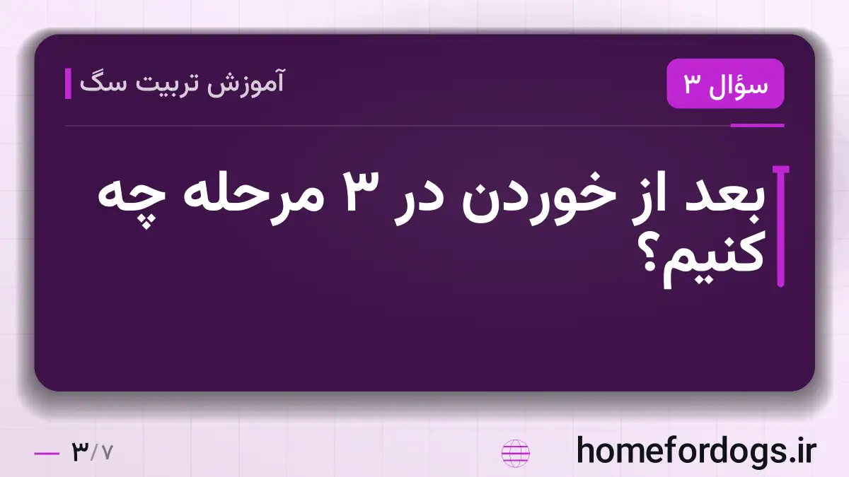 بعد از خوردن در ۳ مرحله چه کنیم؟
