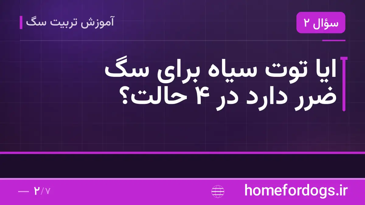 ایا توت سیاه برای سگ ضرر دارد در ۴ حالت؟