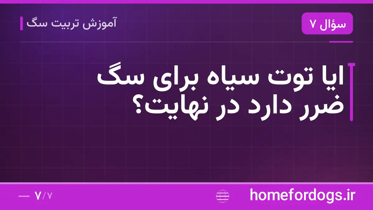 ایا توت سیاه برای سگ ضرر دارد در نهایت؟