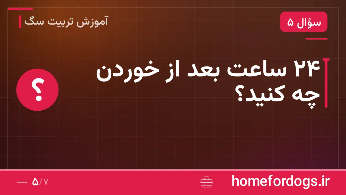 ۲۴ ساعت بعد از خوردن چه کنید؟