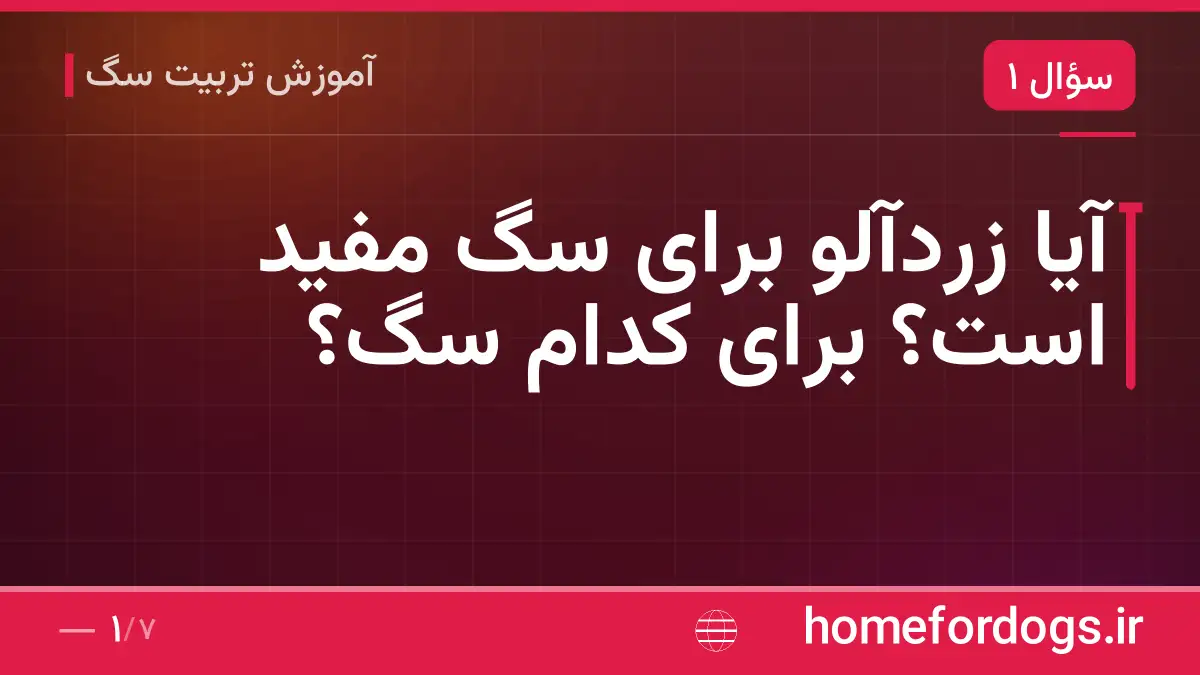 آیا زردآلو برای سگ مفید است؟ برای کدام سگ؟