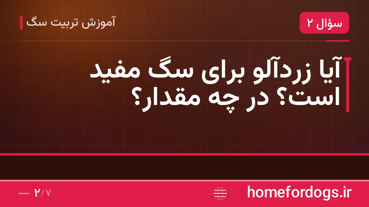 آیا زردآلو برای سگ مفید است؟ در چه مقدار؟
