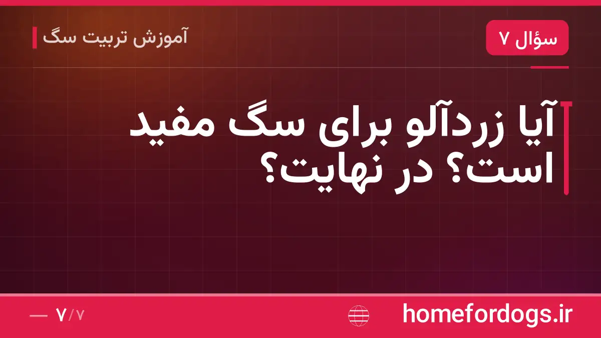 آیا زردآلو برای سگ مفید است؟ در نهایت؟