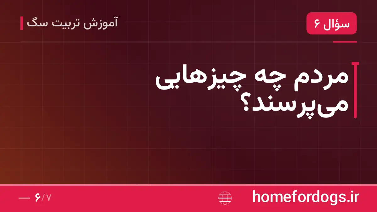 مردم چه چیزهایی می‌پرسند؟