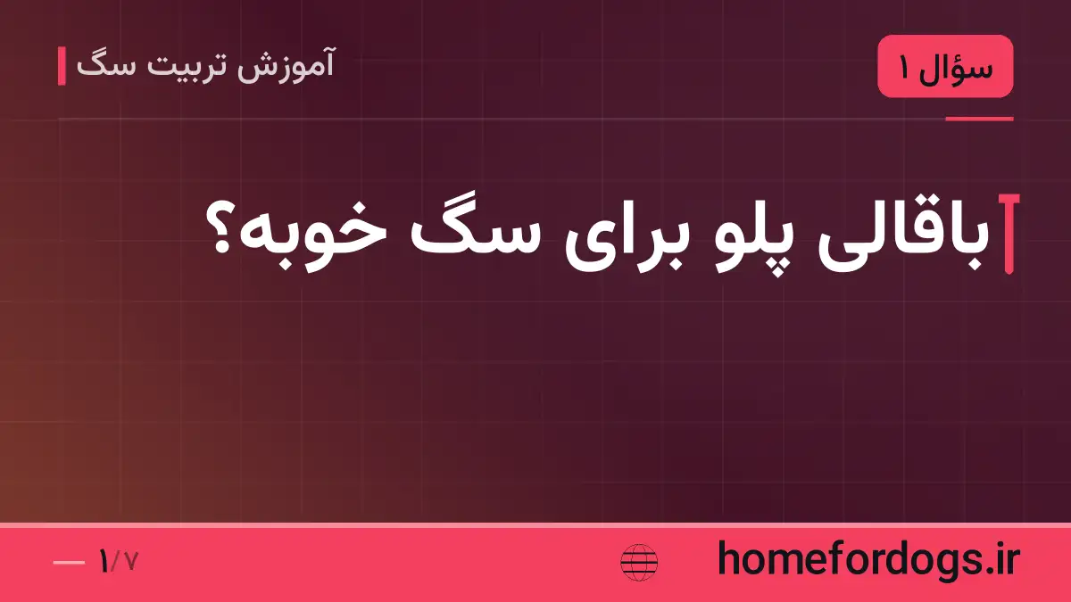 باقالی پلو برای سگ خوبه؟