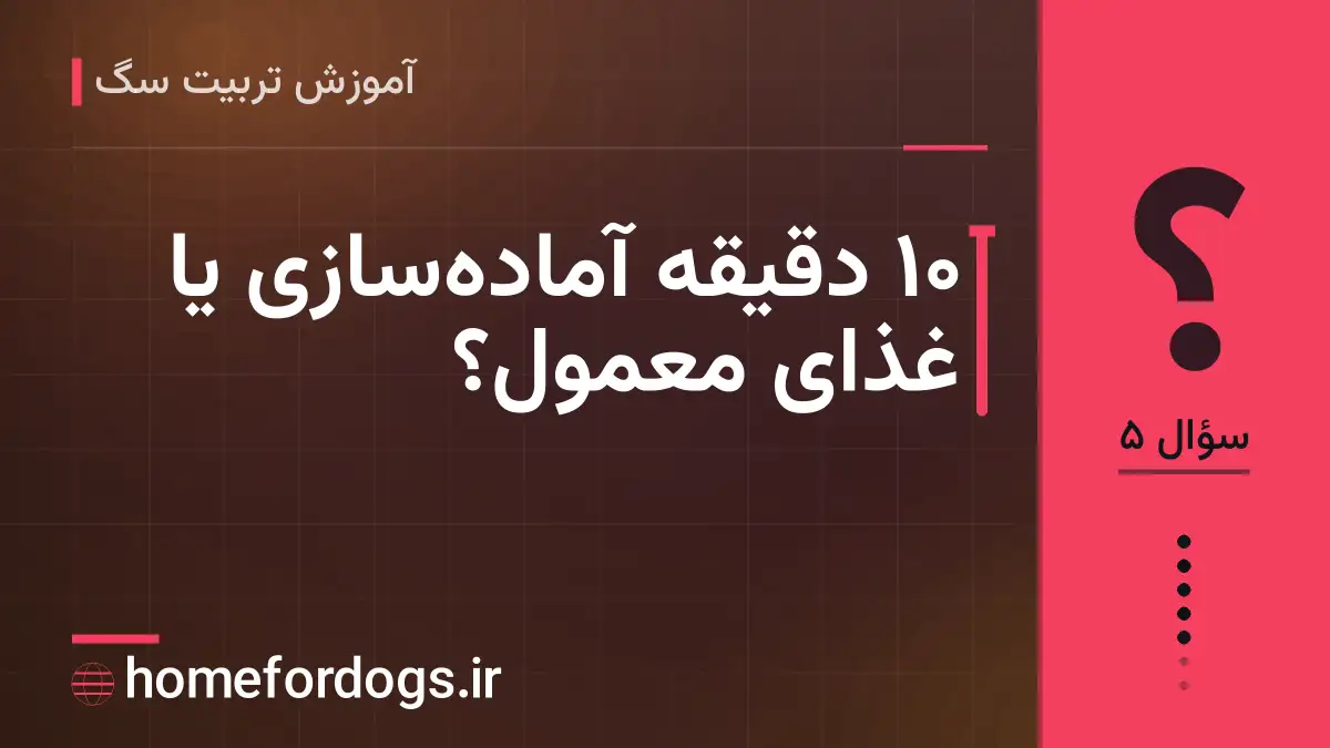 ۱۰ دقیقه آماده‌سازی یا غذای معمول؟