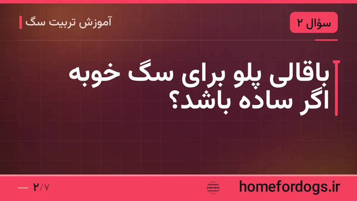 باقالی پلو برای سگ خوبه اگر ساده باشد؟