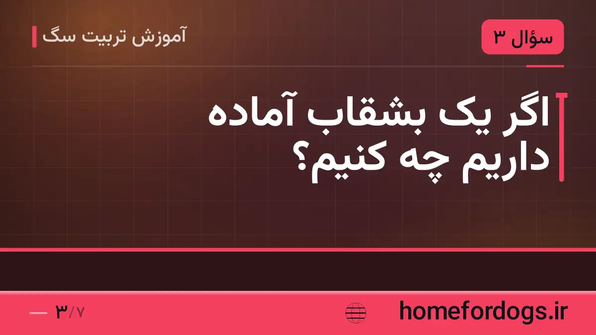 اگر یک بشقاب آماده داریم چه کنیم؟