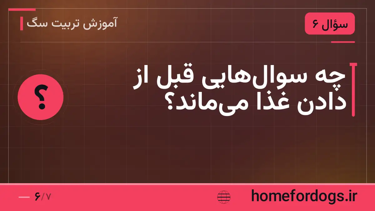 چه سوال‌هایی قبل از دادن غذا می‌ماند؟