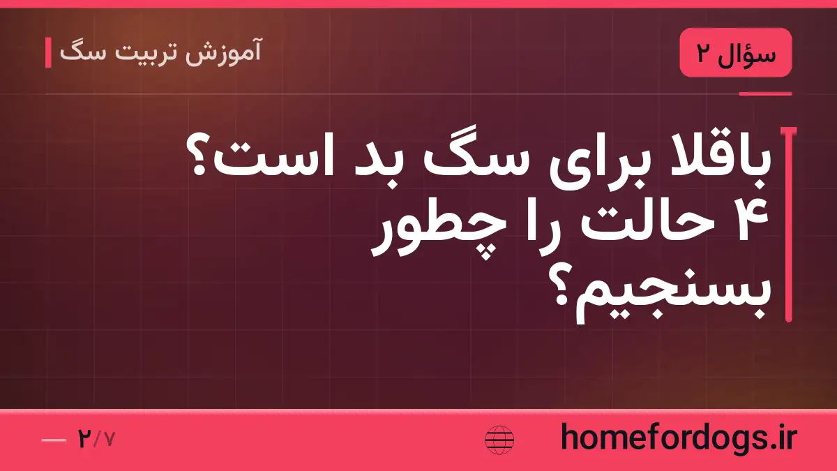 باقلا برای سگ بد است؟ ۴ حالت را چطور بسنجیم؟