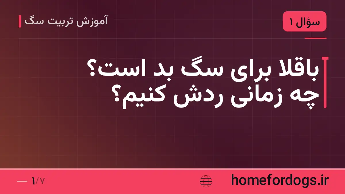 باقلا برای سگ بد است؟ چه زمانی ردش کنیم؟
