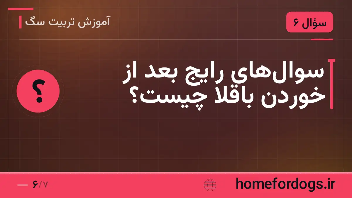 سوال‌های رایج بعد از خوردن باقلا چیست؟
