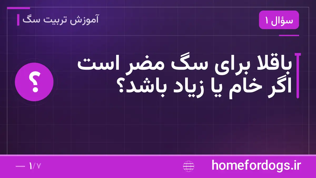 باقلا برای سگ مضر است اگر خام یا زیاد باشد؟