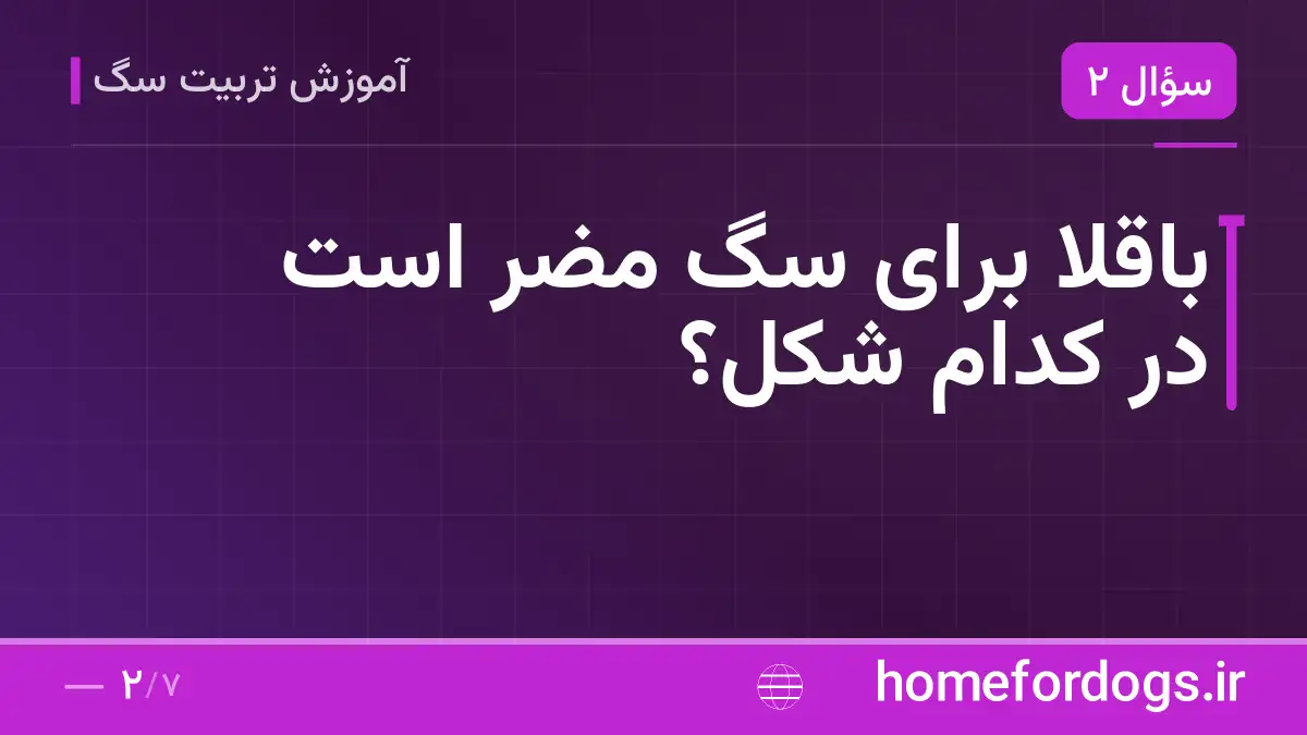 باقلا برای سگ مضر است در کدام شکل؟