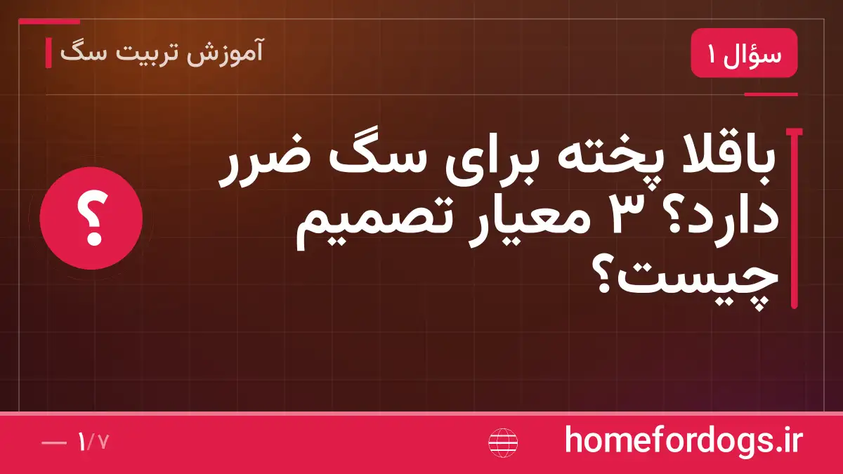 باقلا پخته برای سگ ضرر دارد؟ ۳ معیار تصمیم چیست؟