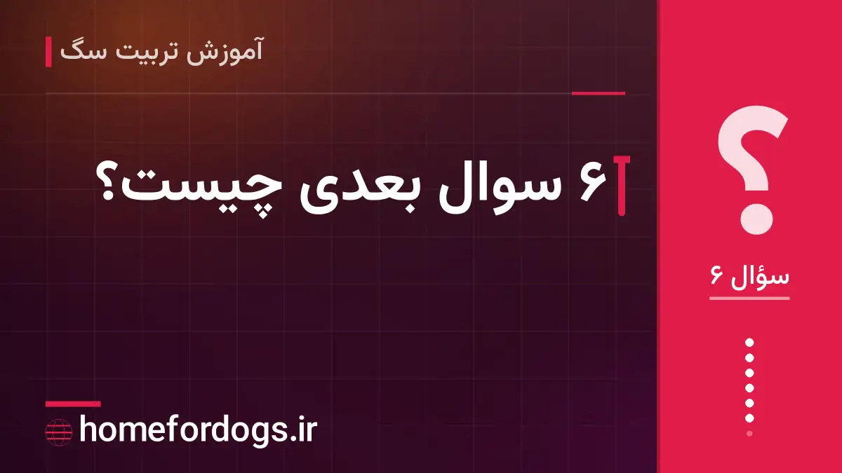 ۶ سوال بعدی چیست؟