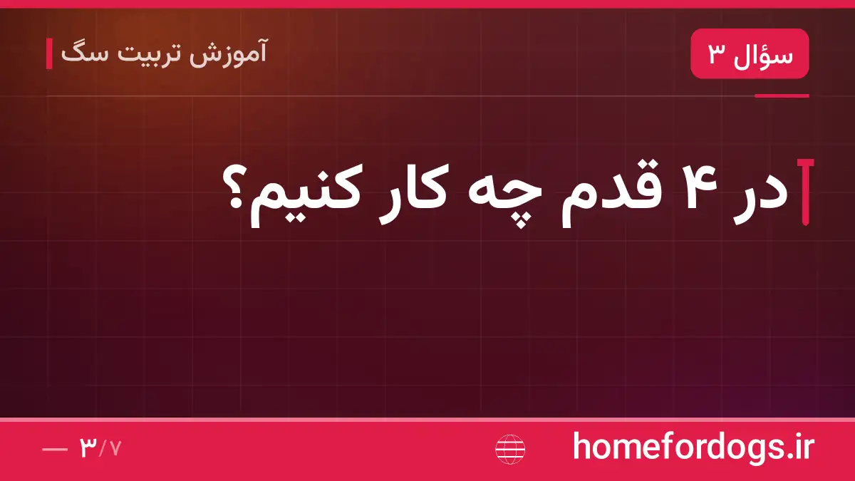 در ۴ قدم چه کار کنیم؟