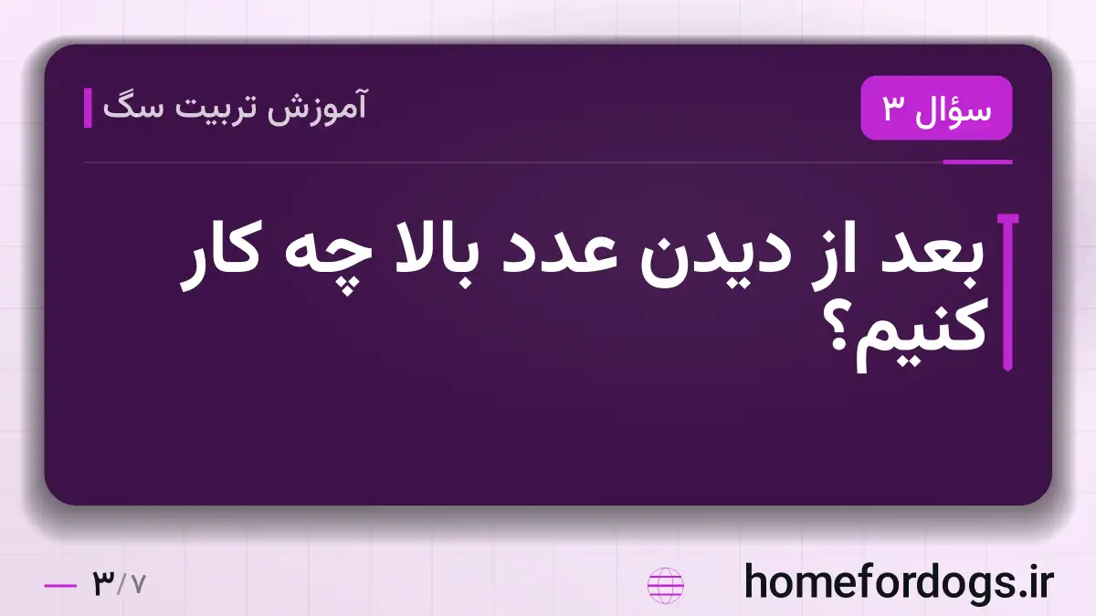 بعد از دیدن عدد بالا چه کار کنیم؟