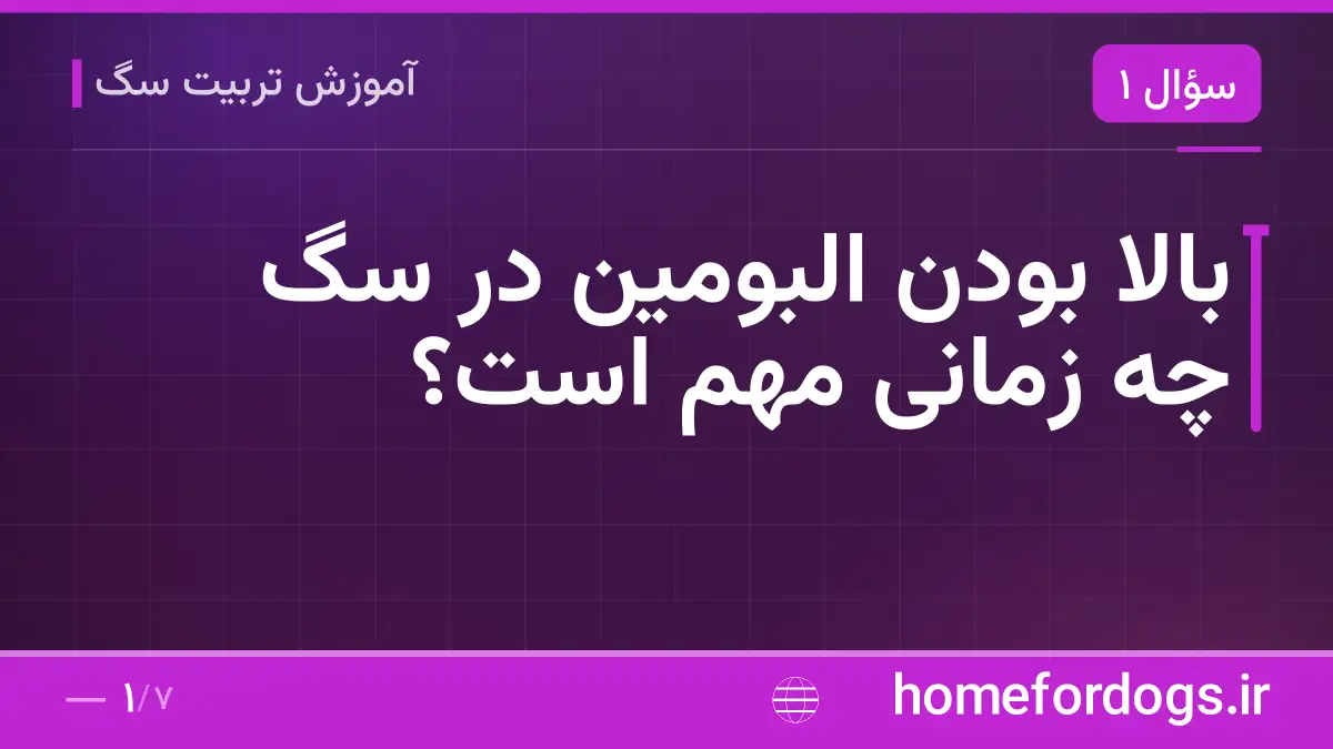 بالا بودن البومین در سگ چه زمانی مهم است؟
