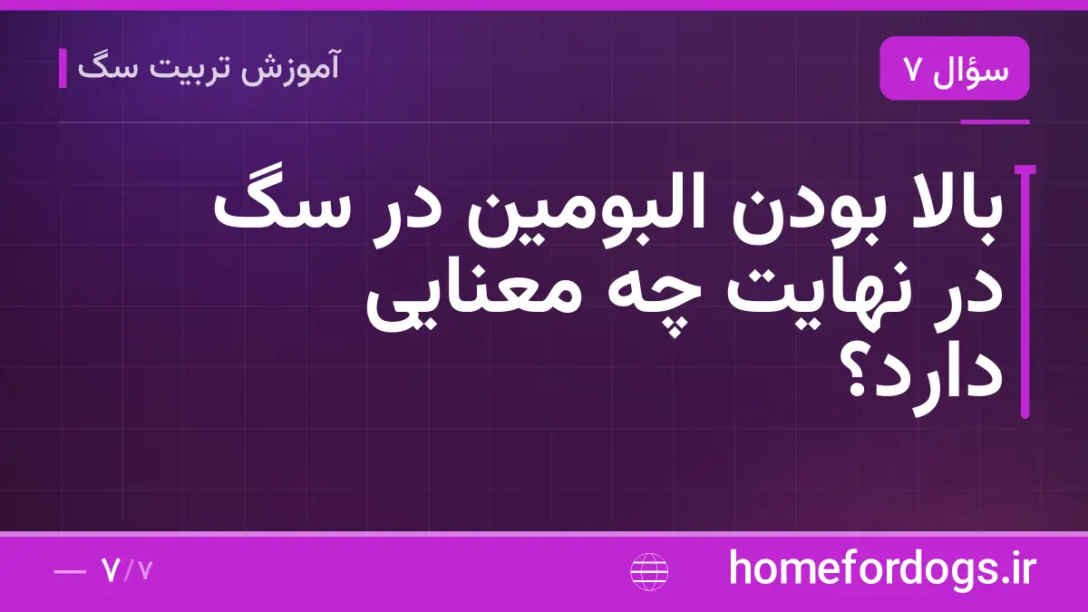 بالا بودن البومین در سگ در نهایت چه معنایی دارد؟