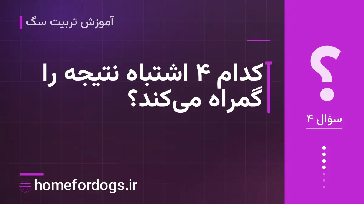 کدام ۴ اشتباه نتیجه را گمراه می‌کند؟
