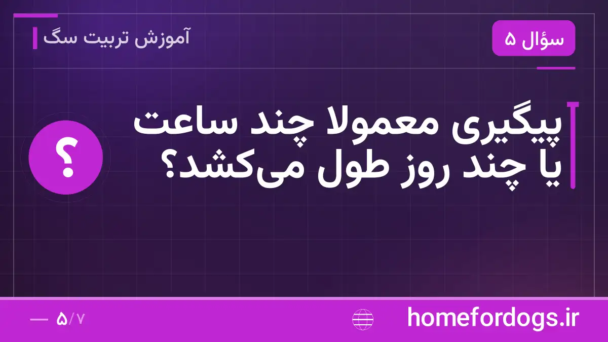 پیگیری معمولاً چند ساعت یا چند روز طول می‌کشد؟