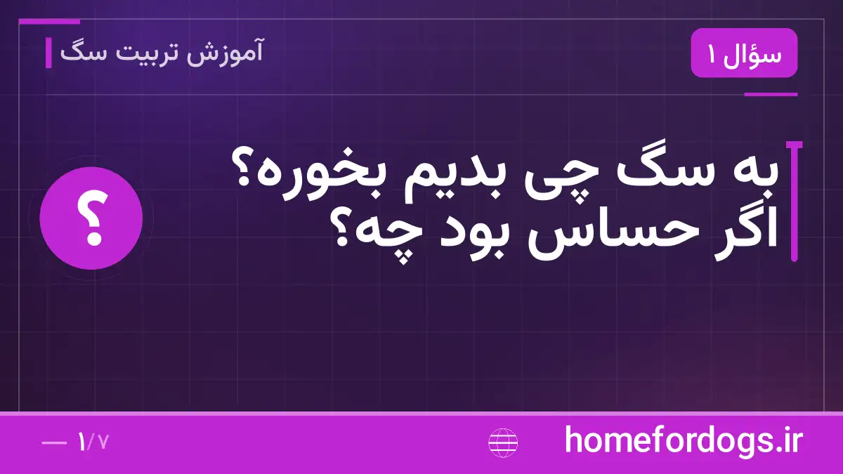 به سگ چی بدیم بخوره؟ اگر حساس بود چه؟