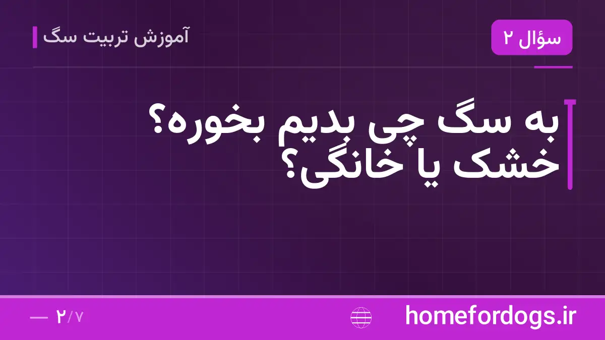به سگ چی بدیم بخوره؟ خشک یا خانگی؟