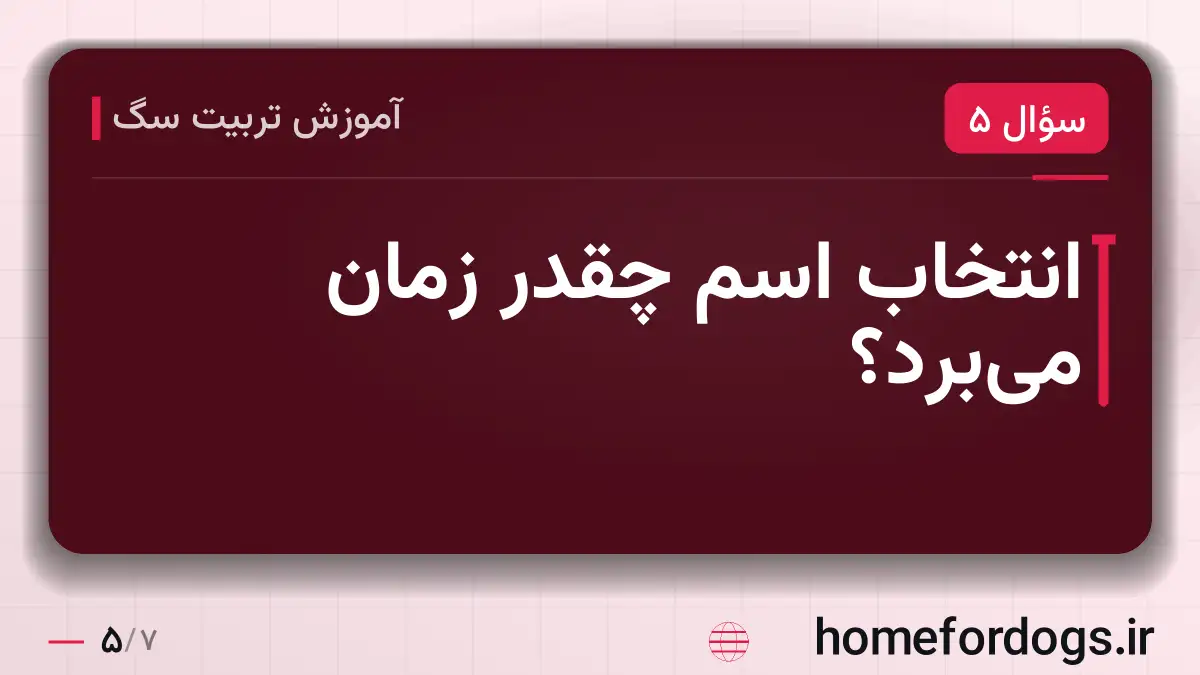 انتخاب اسم چقدر زمان میبرد؟