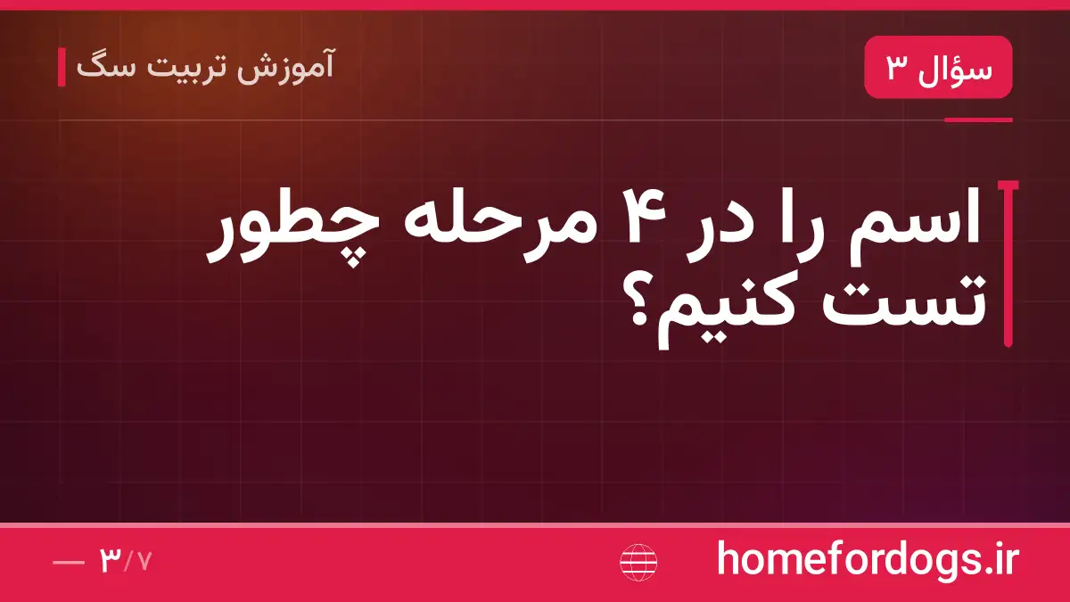 اسم را در ۴ مرحله چطور تست کنیم؟