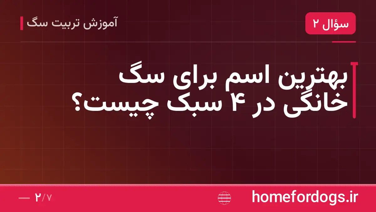 بهترین اسم برای سگ خانگی در ۴ سبک چیست؟
