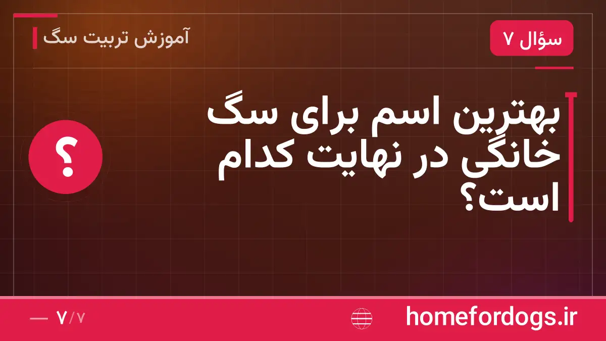 بهترین اسم برای سگ خانگی در نهایت کدام است؟
