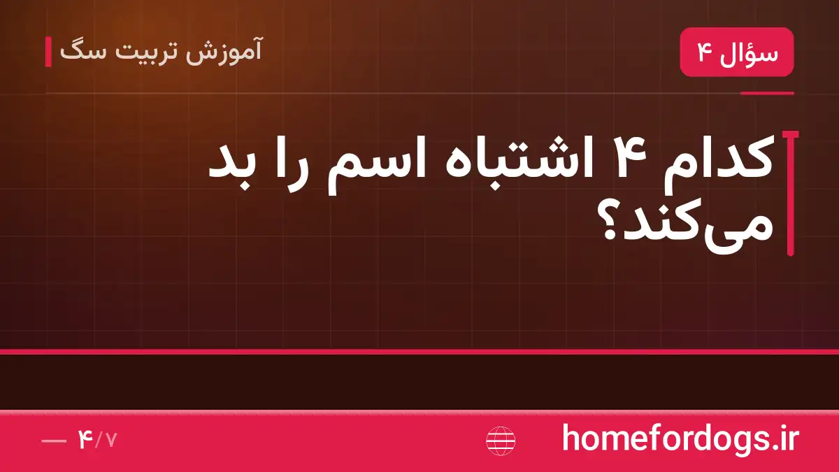 کدام ۴ اشتباه اسم را بد میکند؟