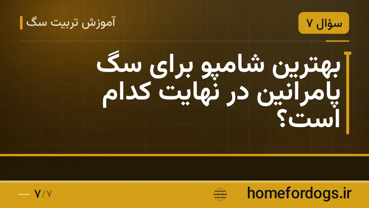 بهترین شامپو برای سگ پامرانین در نهایت کدام است؟