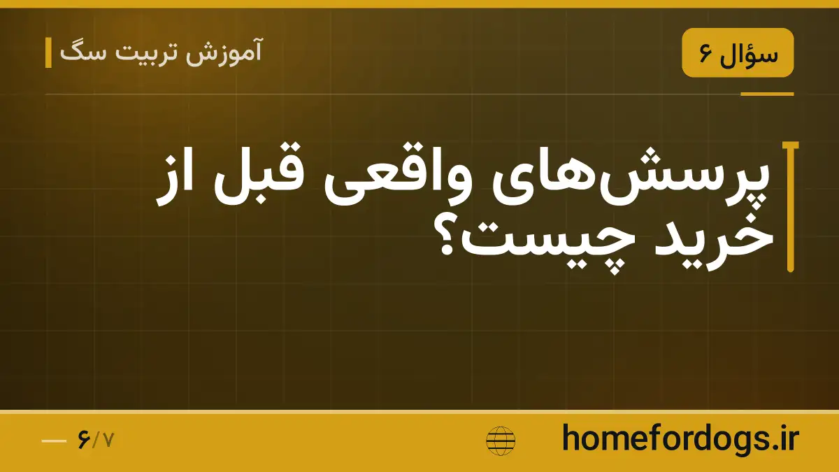 پرسش‌های واقعی قبل از خرید چیست؟