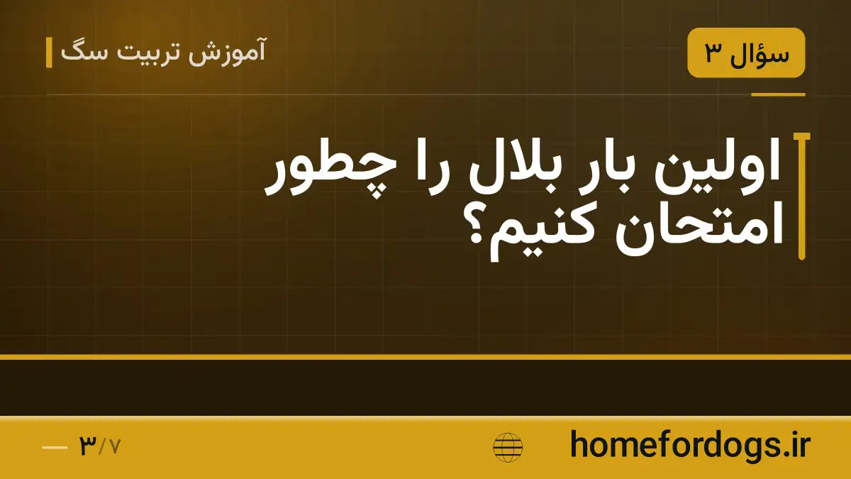 اولین بار بلال را چطور امتحان کنیم؟