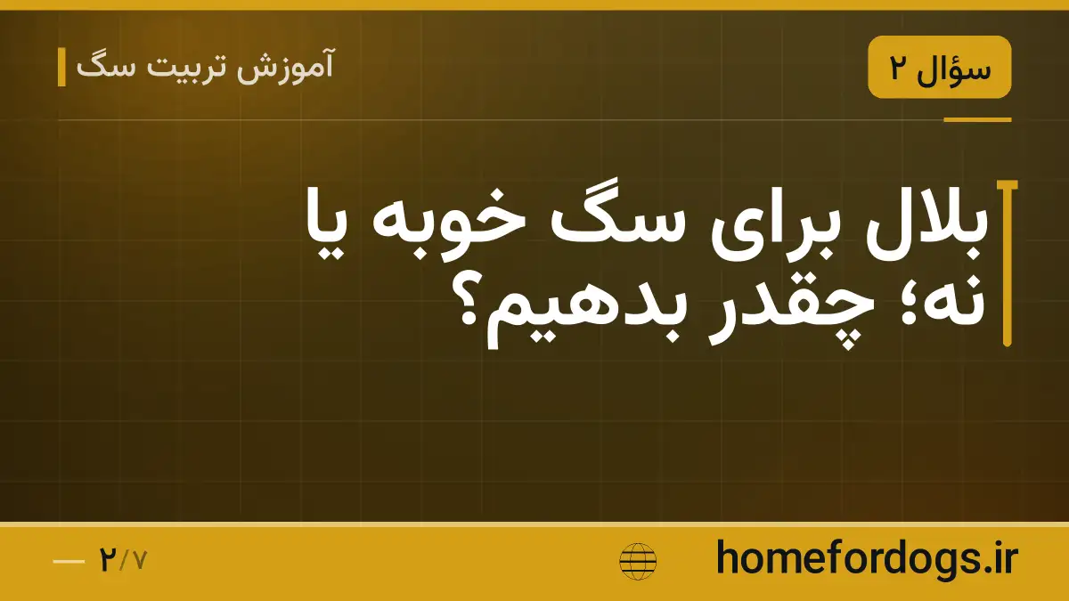 بلال برای سگ خوبه یا نه؛ چقدر بدهیم؟