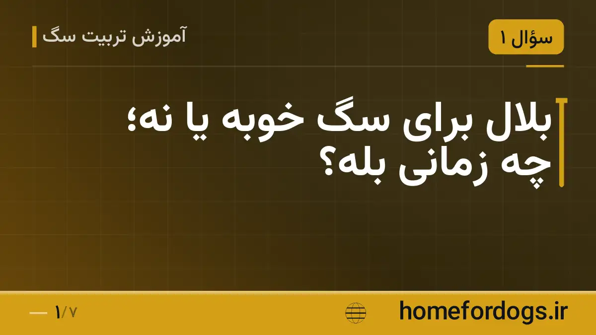 بلال برای سگ خوبه یا نه؛ چه زمانی بله؟